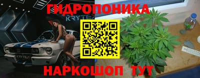 каннабис Будённовск