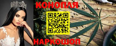 spice Бузулук
