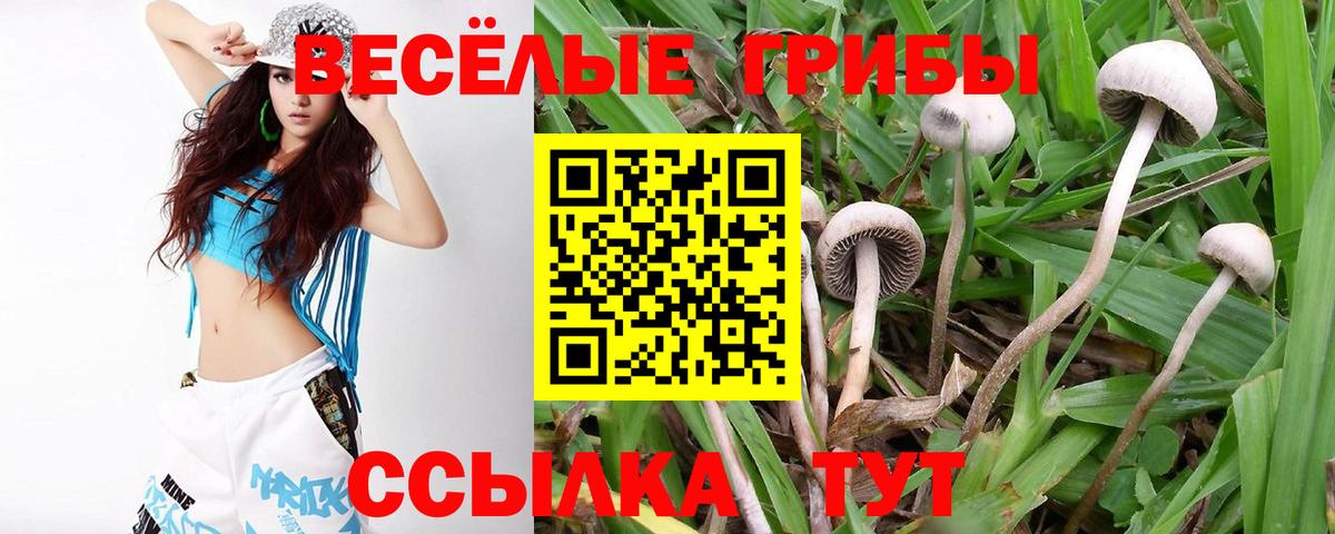 Рославль  Псилоцибиновые грибы Magic Shrooms  Вход с VPN 